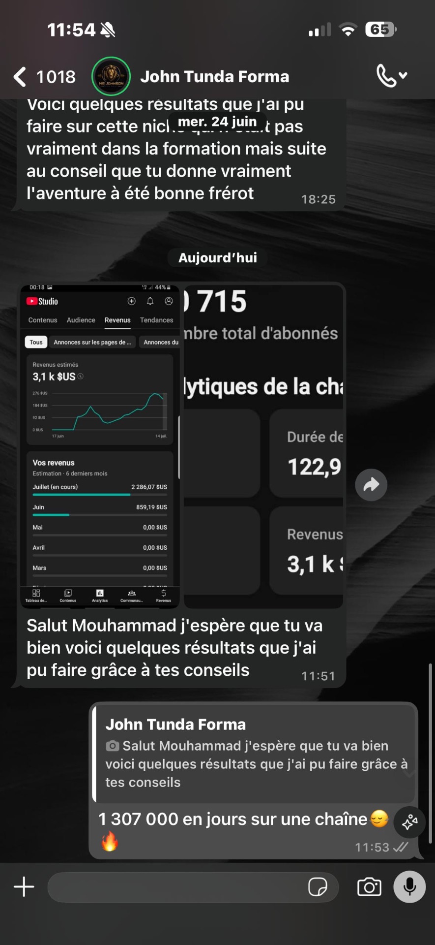 YouTube Studio : 3,1 k $US de revenus estimés et 1 307 000 vues sur une chaîne